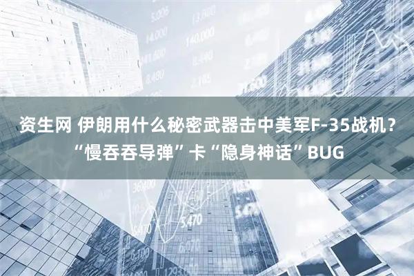 资生网 伊朗用什么秘密武器击中美军F-35战机？“慢吞吞导弹”卡“隐身神话”BUG