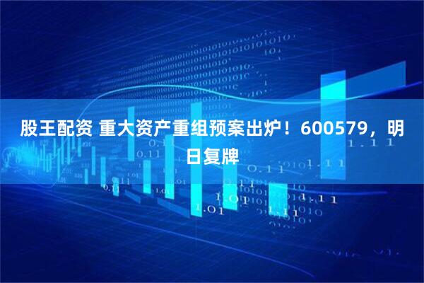 股王配资 重大资产重组预案出炉！600579，明日复牌