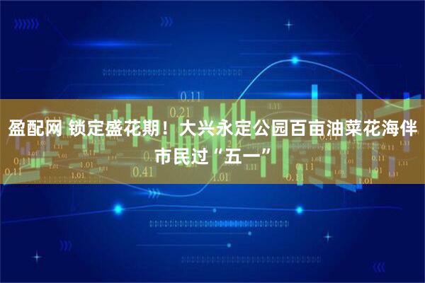 盈配网 锁定盛花期！大兴永定公园百亩油菜花海伴市民过“五一”