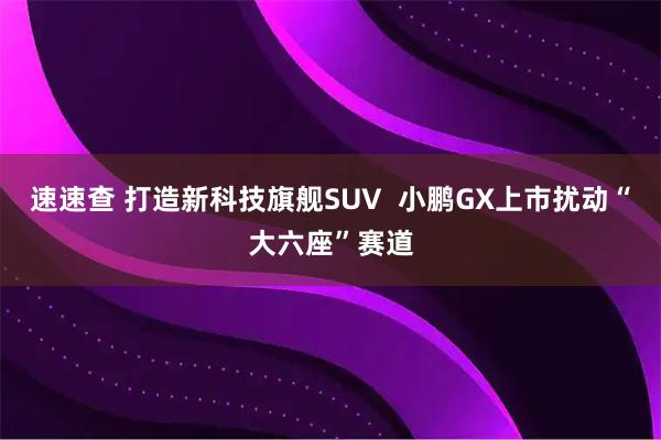 速速查 打造新科技旗舰SUV  小鹏GX上市扰动“大六座”赛道