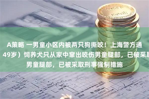 A策略 一男童小区内被两只狗撕咬！上海警方通报：马某（男，49岁）饲养犬只从家中窜出咬伤男童腿部，已被采取刑事强制措施