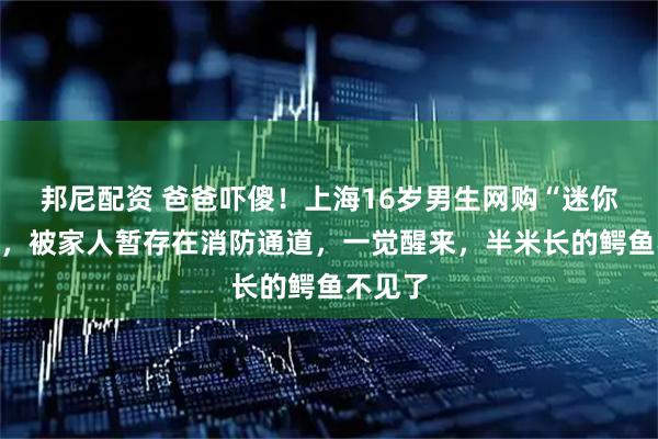 邦尼配资 爸爸吓傻！上海16岁男生网购“迷你宠物”，被家人暂存在消防通道，一觉醒来，半米长的鳄鱼不见了