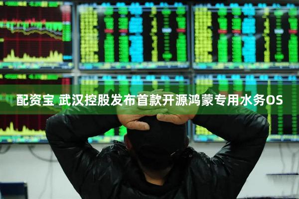配资宝 武汉控股发布首款开源鸿蒙专用水务OS